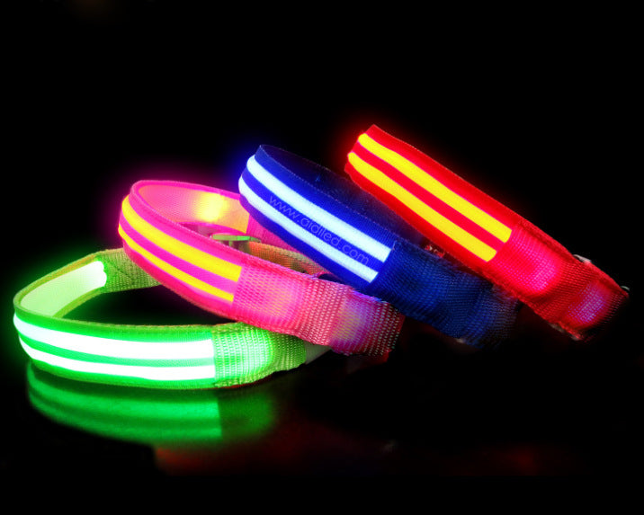 Rechargeable LED Dog Collar