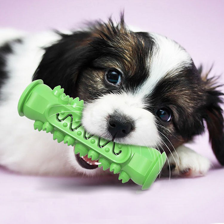 Dog Toy Toothbrush