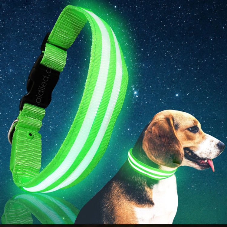 Rechargeable LED Dog Collar